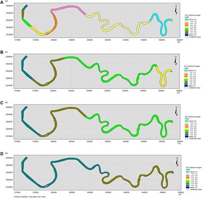 Modeling Spatial Patterns of Dissolved Oxygen and the Impact Mechanisms in a Cascade River